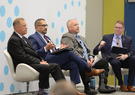 HIMSS Interoperability Panel