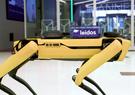A modified Spot™ robot dog that combines large language models, robotics and edge computing.