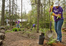 three people planting trees