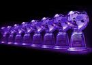 eight trophies in a row