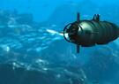 Sea Dart image