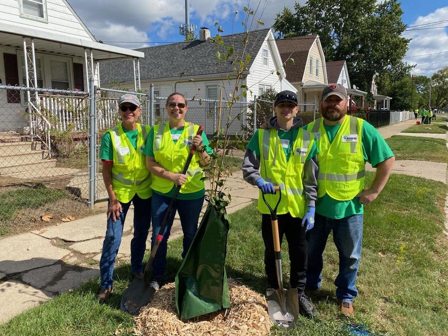 Four people stand around a newly planted tree.