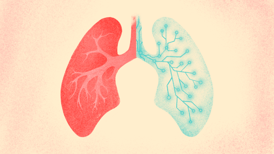 An illustration of human lungs. One half is real, and the other half is a digital twin.