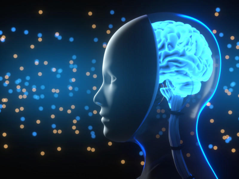 illustration of head and brain