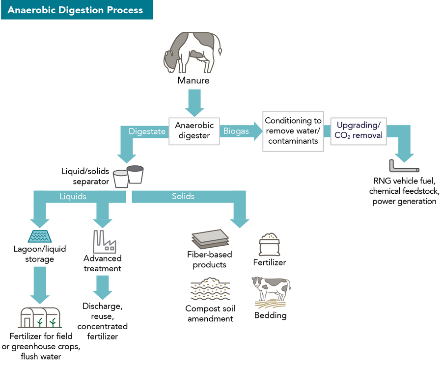 Anaerobic Digestion Process diagram