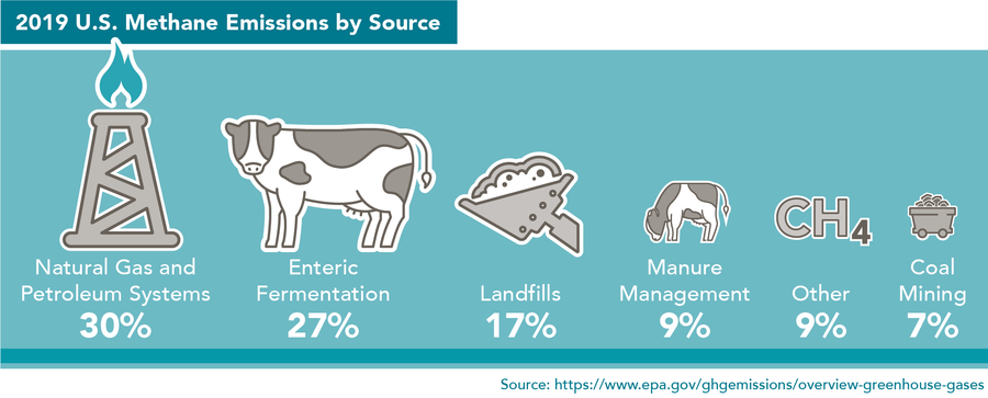 2019 U.S. Methane Emissions by Source