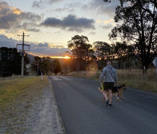 A man walking with a dog towards the sunset