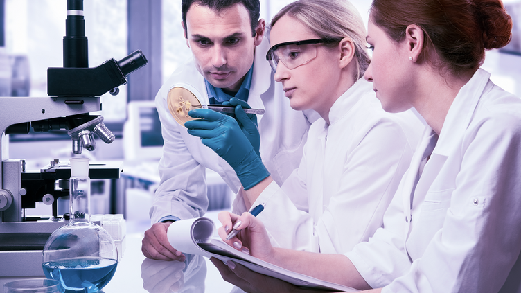 Scientists in medical lab look at specimen intently