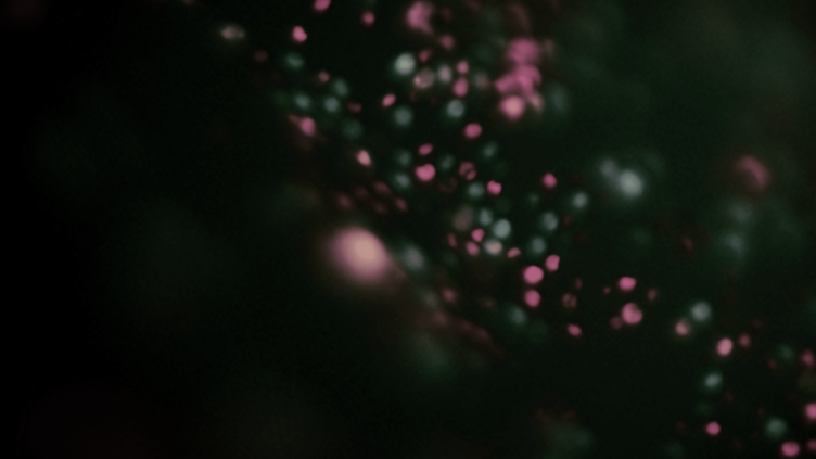 red and green lights