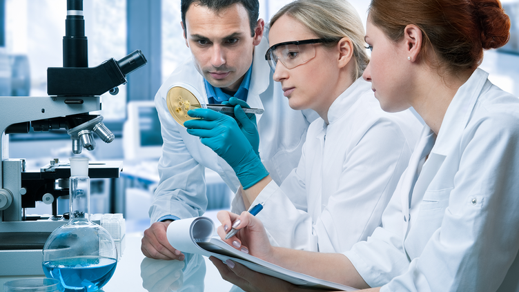 Scientists in medical lab look at specimen intently