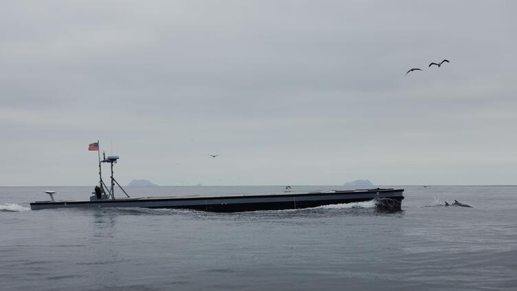 Sea Specter